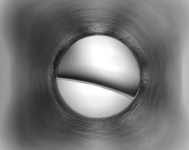X0000093600544200710150959