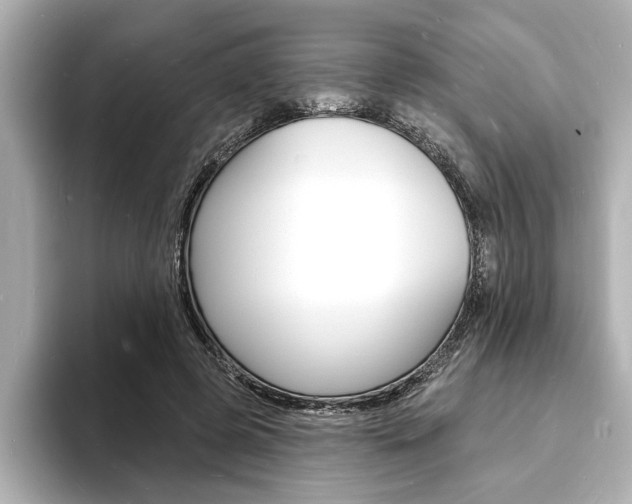 X0000093600545200710150959