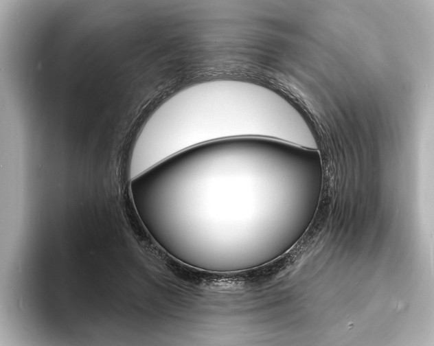 X0000093600546200710150959