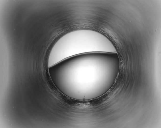 X0000093600548200710150959