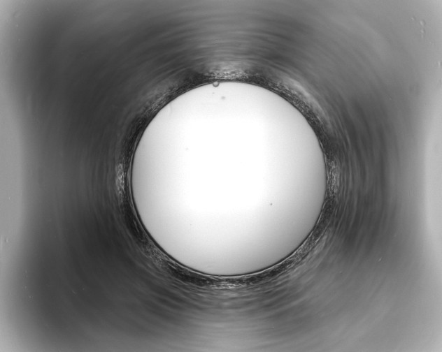X0000093600549200710151000