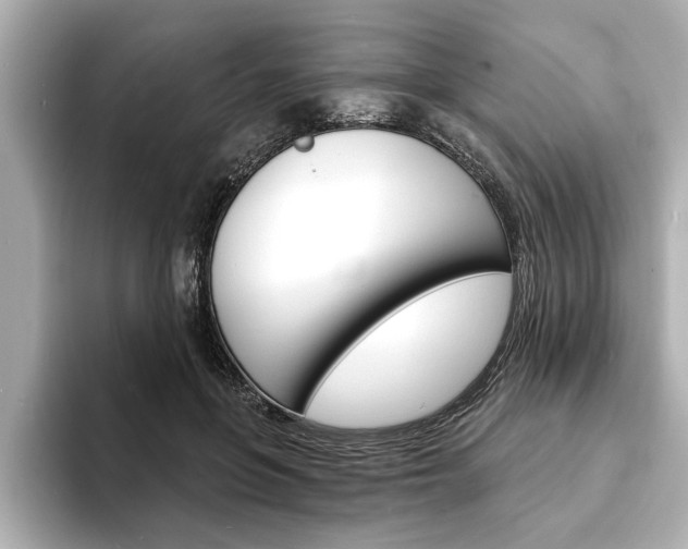 X0000093600551200710151000