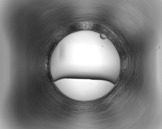 X0000093600553200710151000