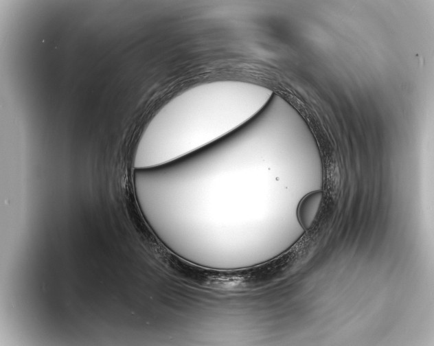 X0000093600554200710151000