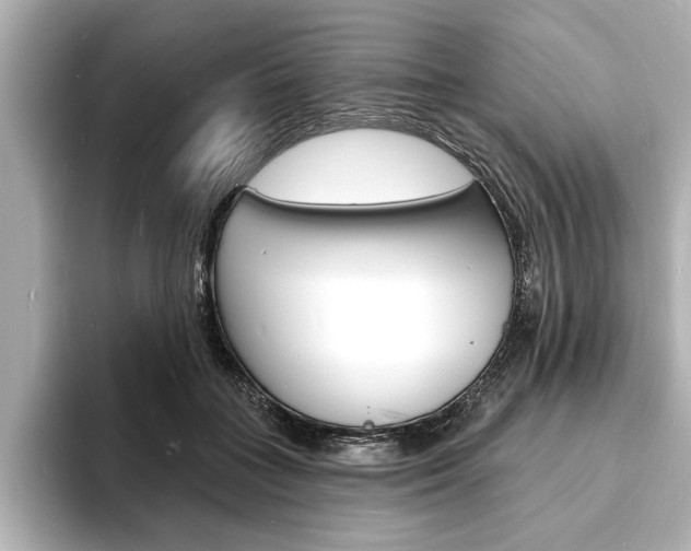 X0000093600555200710151000