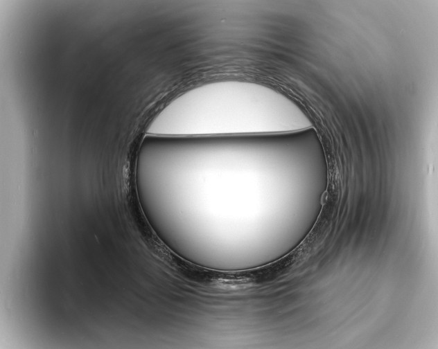 X0000093600556200710151000