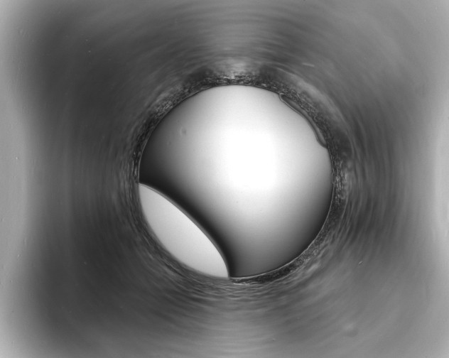 X0000093600558200710151000