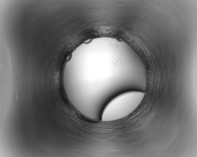 X0000093600563200710151000