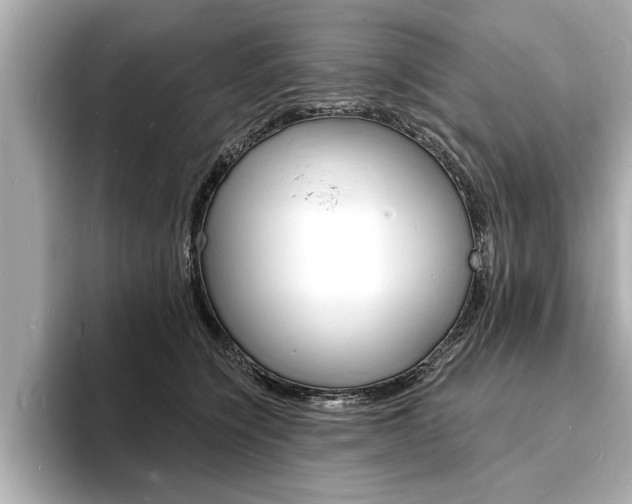 X0000093600564200710151000