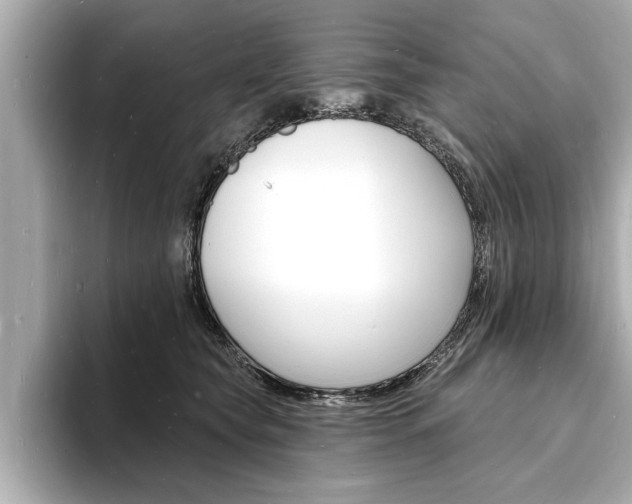 X0000093600565200710151000