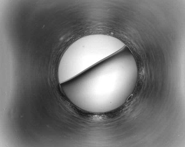 X0000093600566200710151000