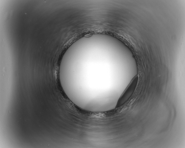 X0000093600576200710151000