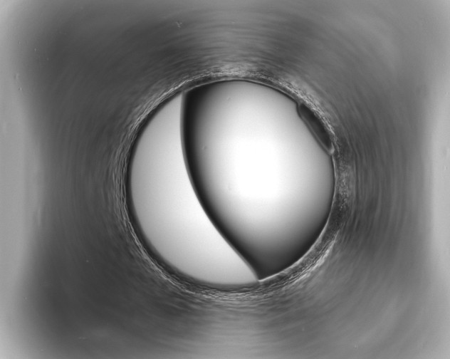 X0000093600577200710150959