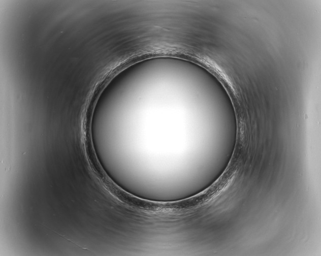 X0000093600581200710150959