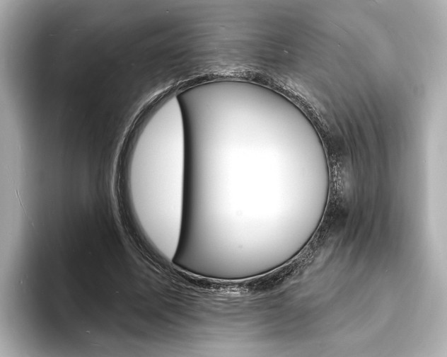 X0000093600587200710150959