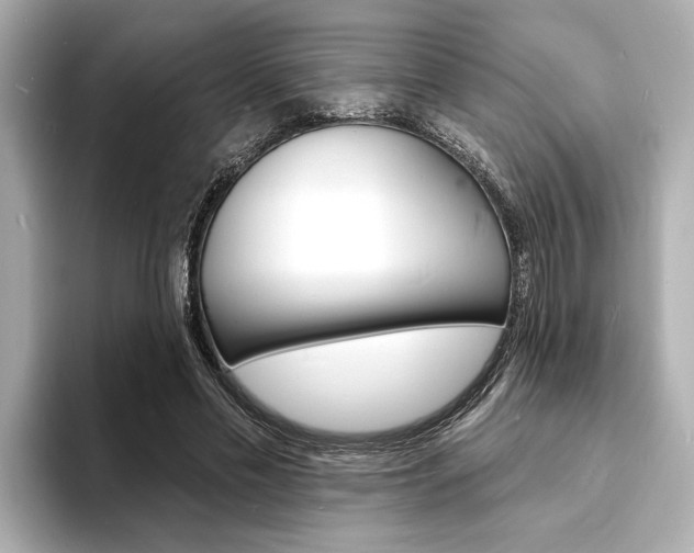X0000093600589200710150959