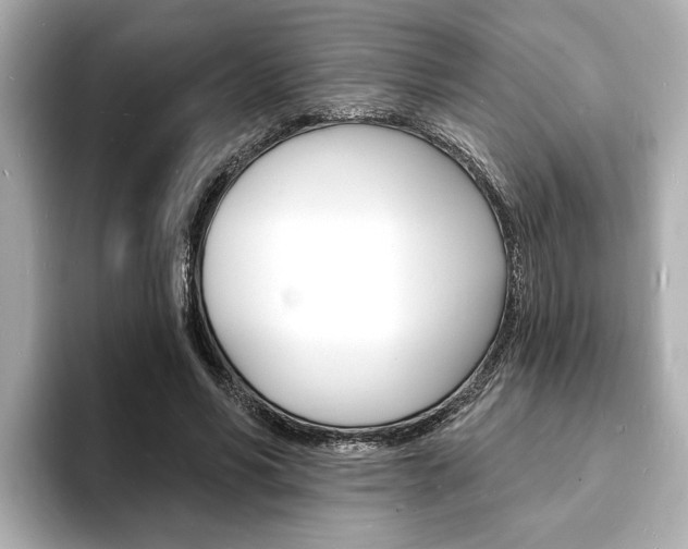 X0000093600590200710150959