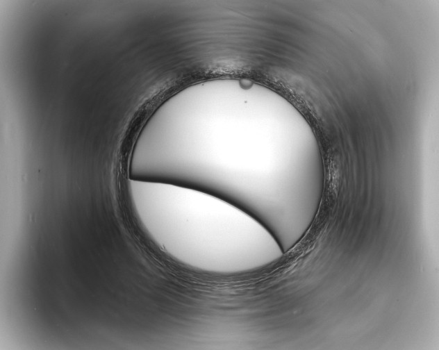 X0000093600591200710150959