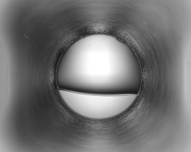 X0000093600593200710150959