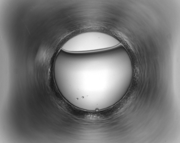 X0000093600596200710150959