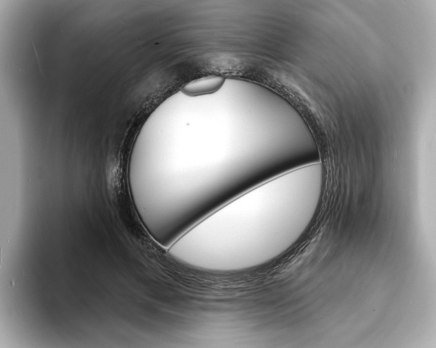 X0000093600597200710150959