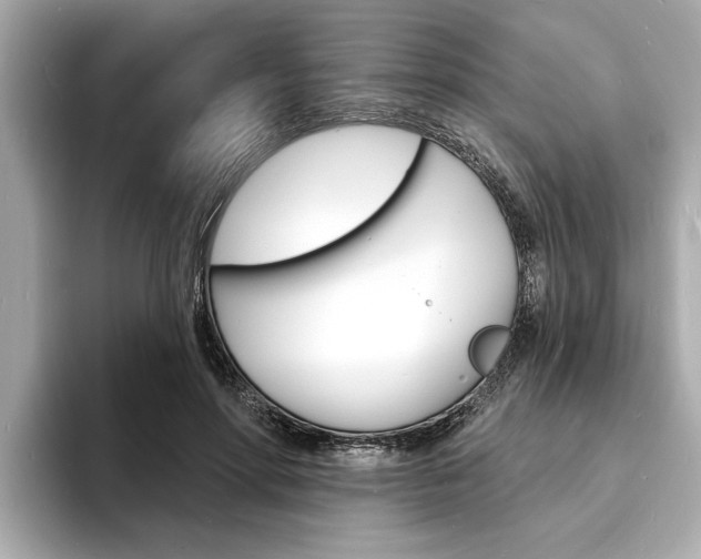X0000093600598200710150959