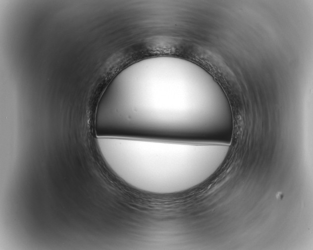 X0000093600600200710150959