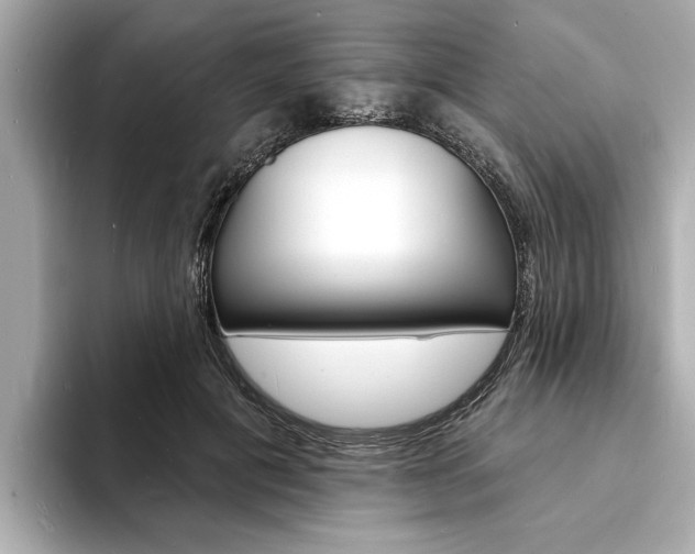 X0000093600601200710150959