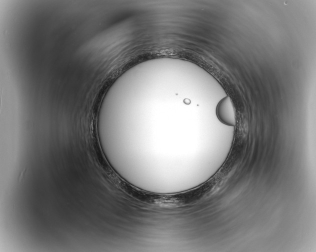 X0000093600603200710150959