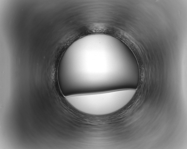 X0000093600604200710150959
