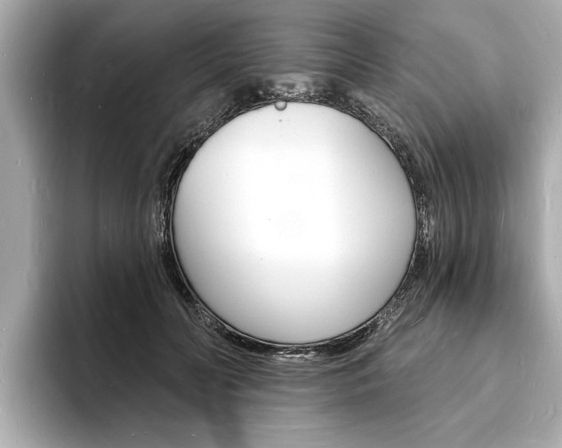 X0000093600606200710150959