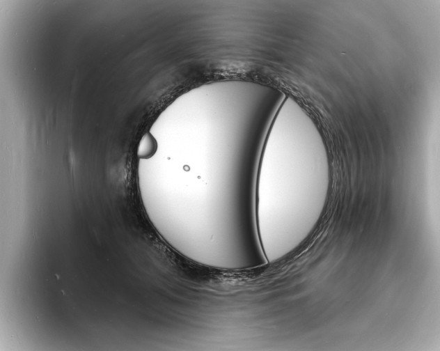 X0000093600608200710150959
