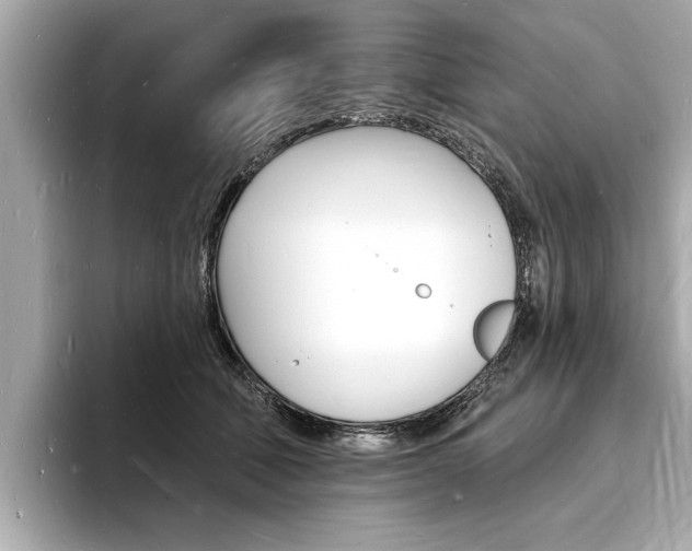 X0000093600610200710150959