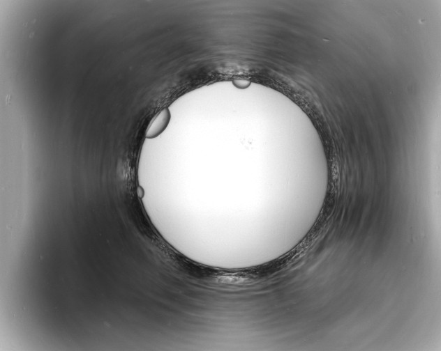 X0000093600614200710150959