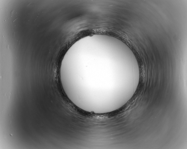 X0000093600619200710150959