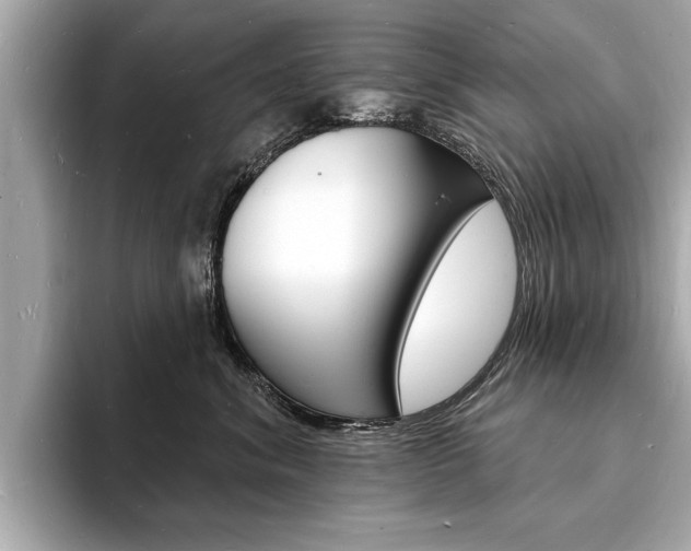 X0000093600620200710150959
