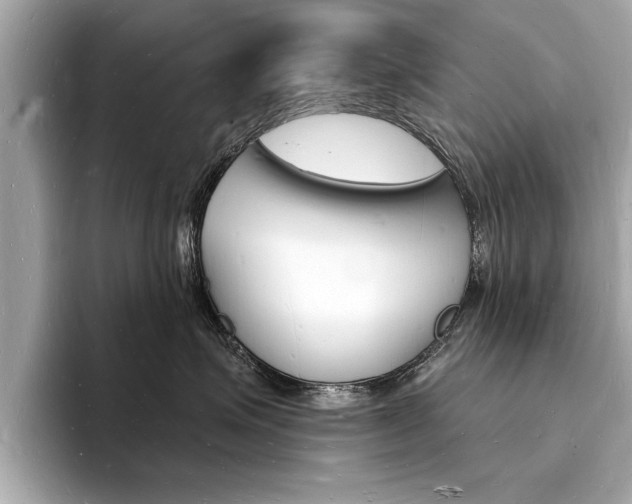 X0000093600623200710150959