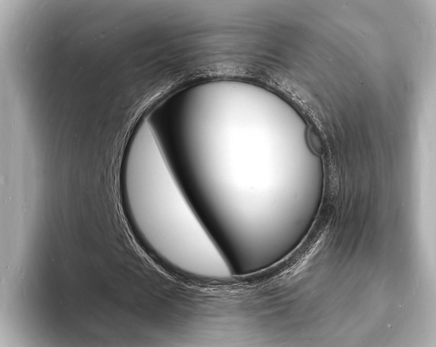 X0000093600625200710150958