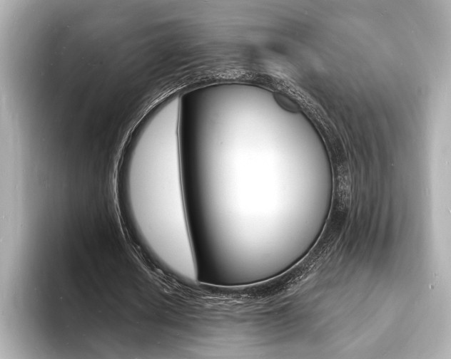X0000093600626200710150958
