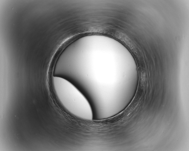 X0000093600628200710150958