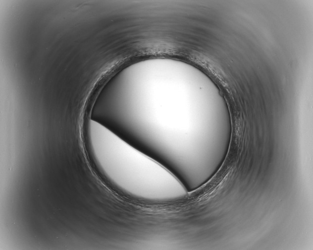 X0000093600629200710150958
