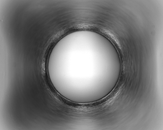 X0000093600633200710150958
