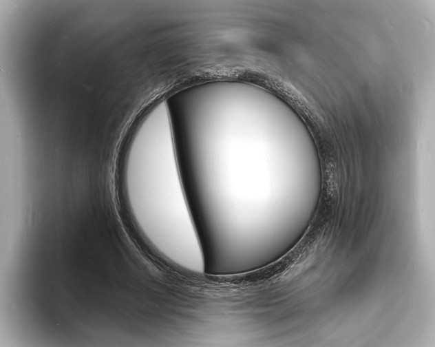 X0000093600634200710150958