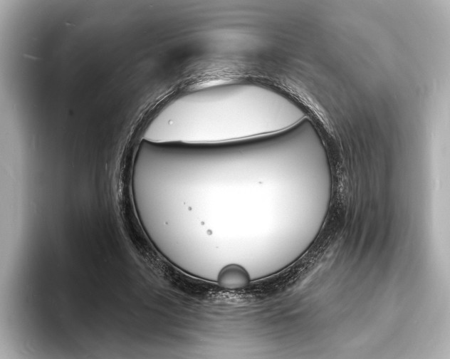 X0000093600635200710150958