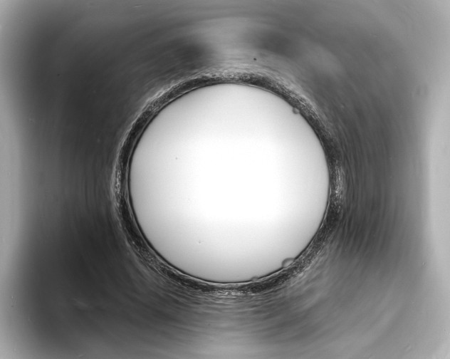 X0000093600636200710150958