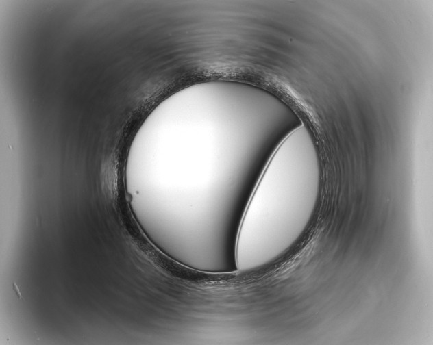 X0000093600637200710150958