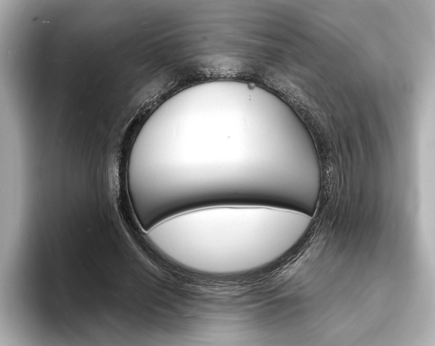 X0000093600638200710150958