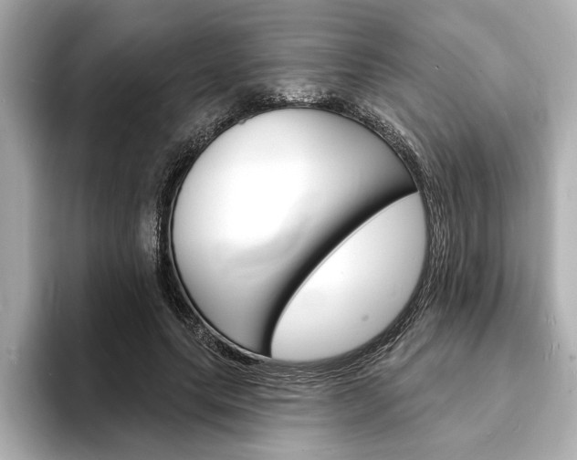 X0000093600639200710150958
