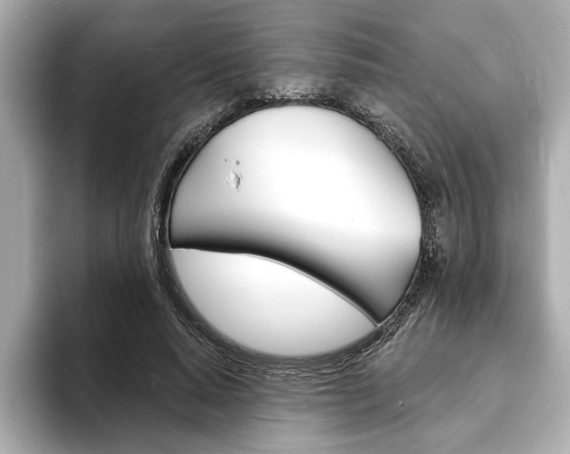 X0000093600640200710150958