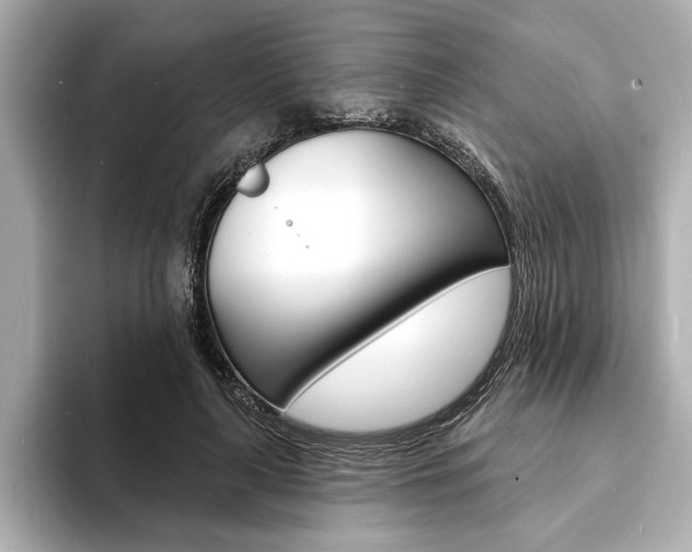 X0000093600643200710150958